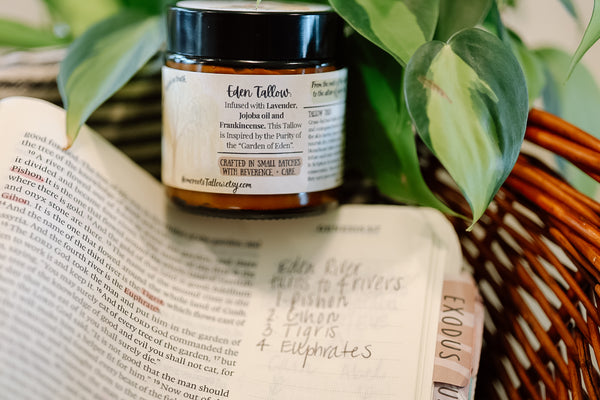 Eden whipped Tallow (Lavender)