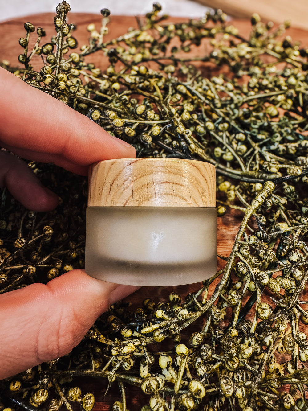 Shepard’s Dreamsicle Lip Balm